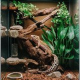 Žárovka REPTI PLANET Daylight Frosted 100 W