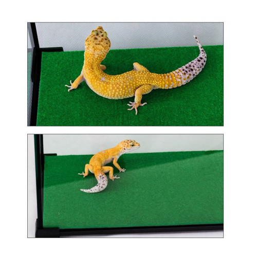 Absorpční koberec ReptiZoo Carpet Mat 57,5x43cm