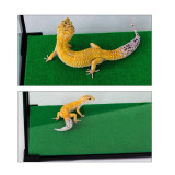 Absorpční koberec ReptiZoo Carpet Mat 57,5x43cm