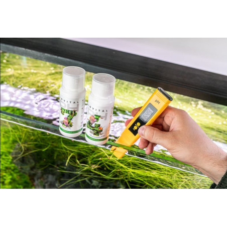 INVITAL pH Pen tester