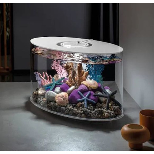 biOrb pebbles purple