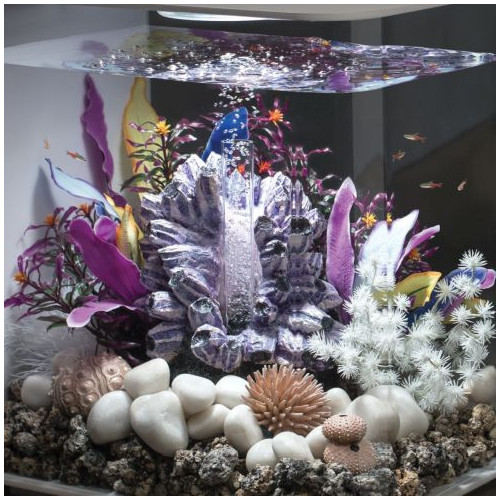 biOrb pebbles purple