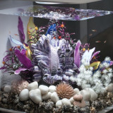 biOrb pebbles purple