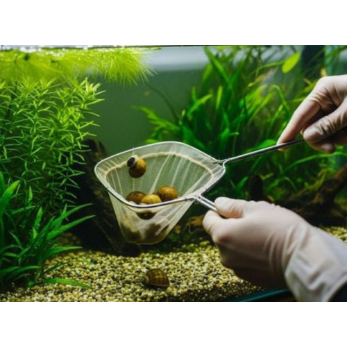 Snail Stop 30 ml odstranění šneků z akvária