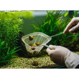 Snail Stop 30 ml odstranění šneků z akvária