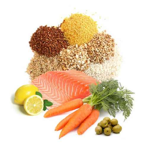 PRODAC krmivo pro ryby v jezírku Pondsticks 1 kg