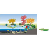 BioSmart set 36000 D