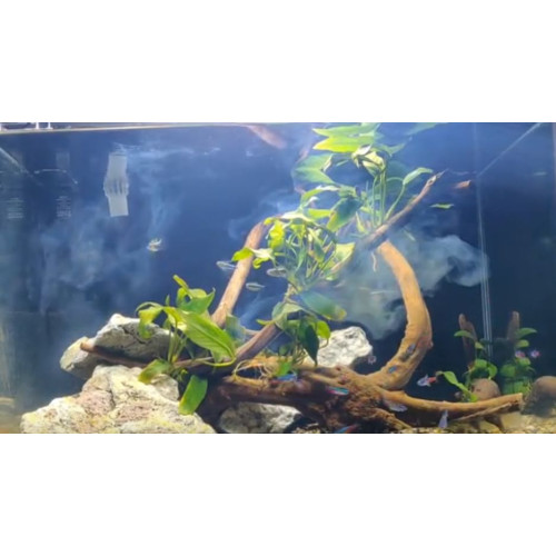 čistič vody do akvária Seachem Clarity 250 ml