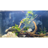 čistič vody do akvária Seachem Clarity 250 ml