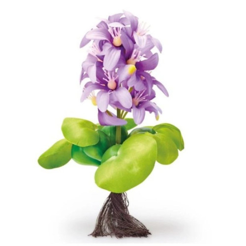 Pontec PondoHyacinth Blooming