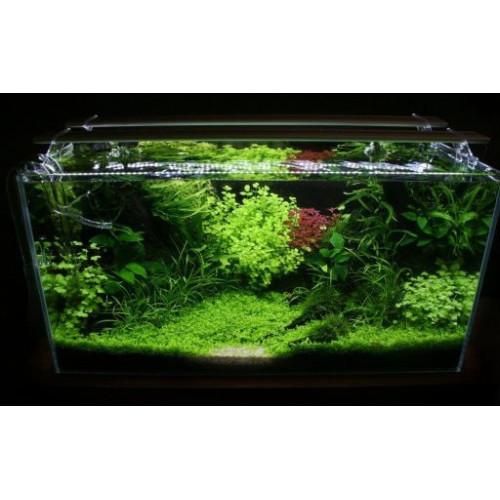 Sinkor LED II 30 cm bílá 10W