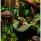 dekorace do terária Coco Planter 50 x 50 cm