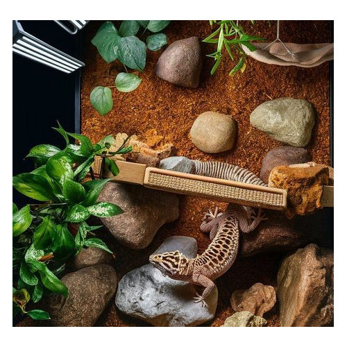 REPTI PLANET Coco Pad 50 x 50 cm