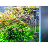 Topítko SteadyHeat 100W s kalibrací