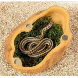 terarijní úkryt magnetická jeskyně