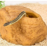 terarijní jeskyně ReptiZoo