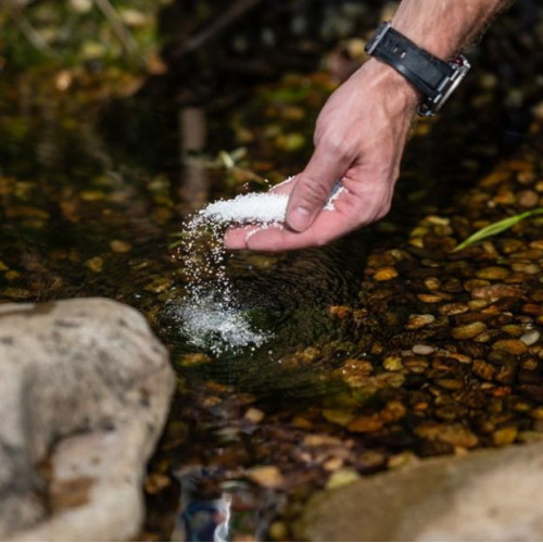 Super Pond 1000g | Profesionální přípravek proti řasám pro 100 m³