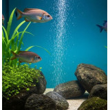 Marina vzduchování do akvária