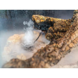 Invital mlhovač do terária Fogger