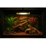 noční  žárovka do terária