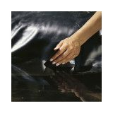 Heissner lepidlo pod vodu TF855