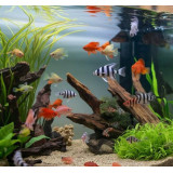 TetraPro Algae 10l se spirulinou