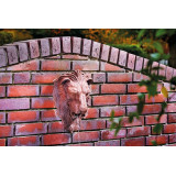 Aquarius Fountain Classic bezpečné čerpadlo do jezírka