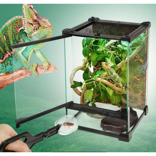 Liána s mechem ReptiZoo Jungle Vines 1x200cm