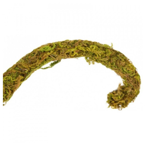 ReptiZoo Jungle Vines 1x200cm