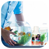 Femanga Algen Stop General 250ml