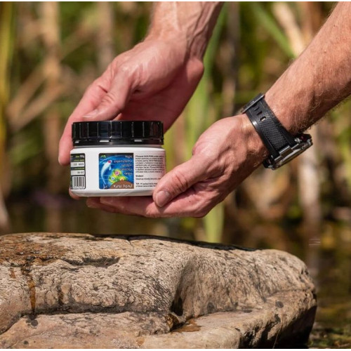 Přípravek proti řasám Kata Pond 50 g