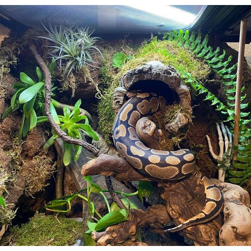 Terarijní teploměr analogový