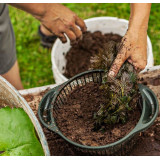 OASE sázecí koš na lekníny Ø 40 cm