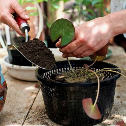 Koš na lekníny kulatý 40 cm