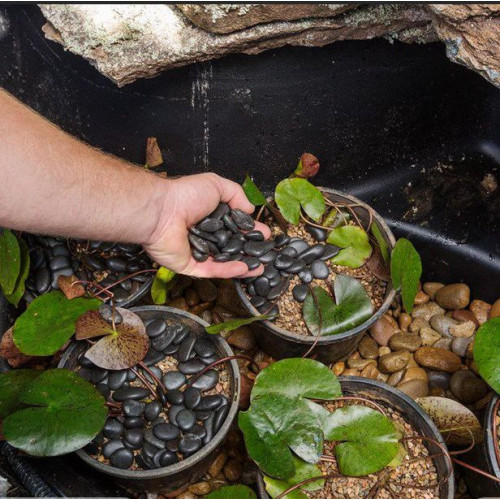 Velké košíky na lekníny