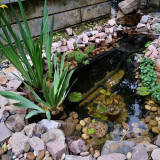 Vybavení do jezírka - sázecí kapsy