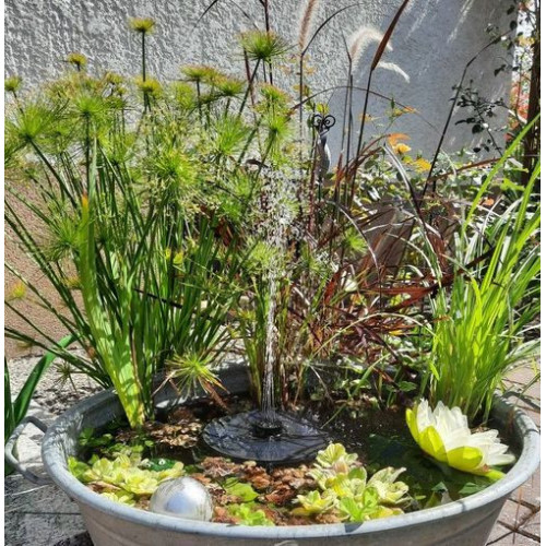 Košík pro vodní rostliny 11 x 11 cm