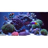 Jy-1300 čerpadlo do mořského akvária 800 l/h