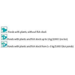 množství ryb s OASE BioSmart UVC 16000