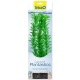 Dekorace Tetra Rostlina Green Cabomba L