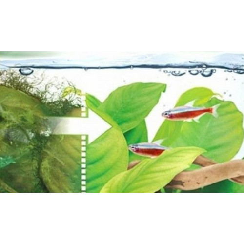 TETRA přípravek na řasy v akváriu AlguMin Plus 100ml