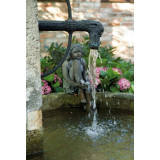 přípravek na čistění pokojových fontán