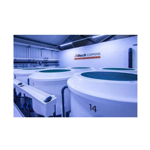 krmivo pro jezírkové ryby Wheat Germ - pohled do produkce