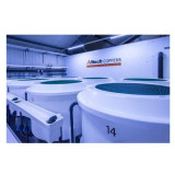 krmivo pro jezírkové ryby Wheat Germ - pohled do produkce