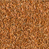 Krmivo pro plazy Gammarus 500 g