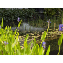 Plovoucí mlhovač VELDA