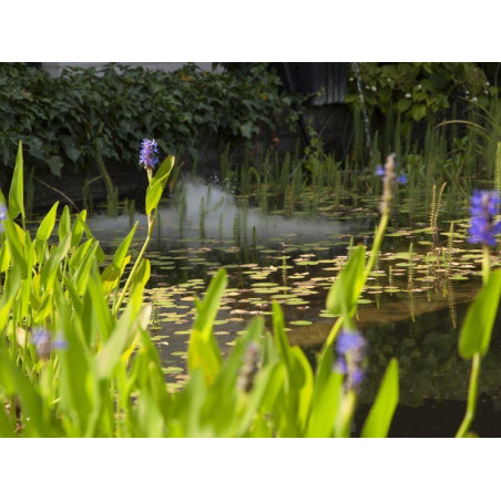 Plovoucí mlhovač VELDA