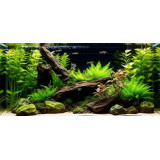 akvarijní hnojivo Tetra Planta Min 100ml