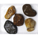 Oblázky do akvária 3 kg