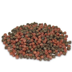 Prodac Pondkoi Color 11l